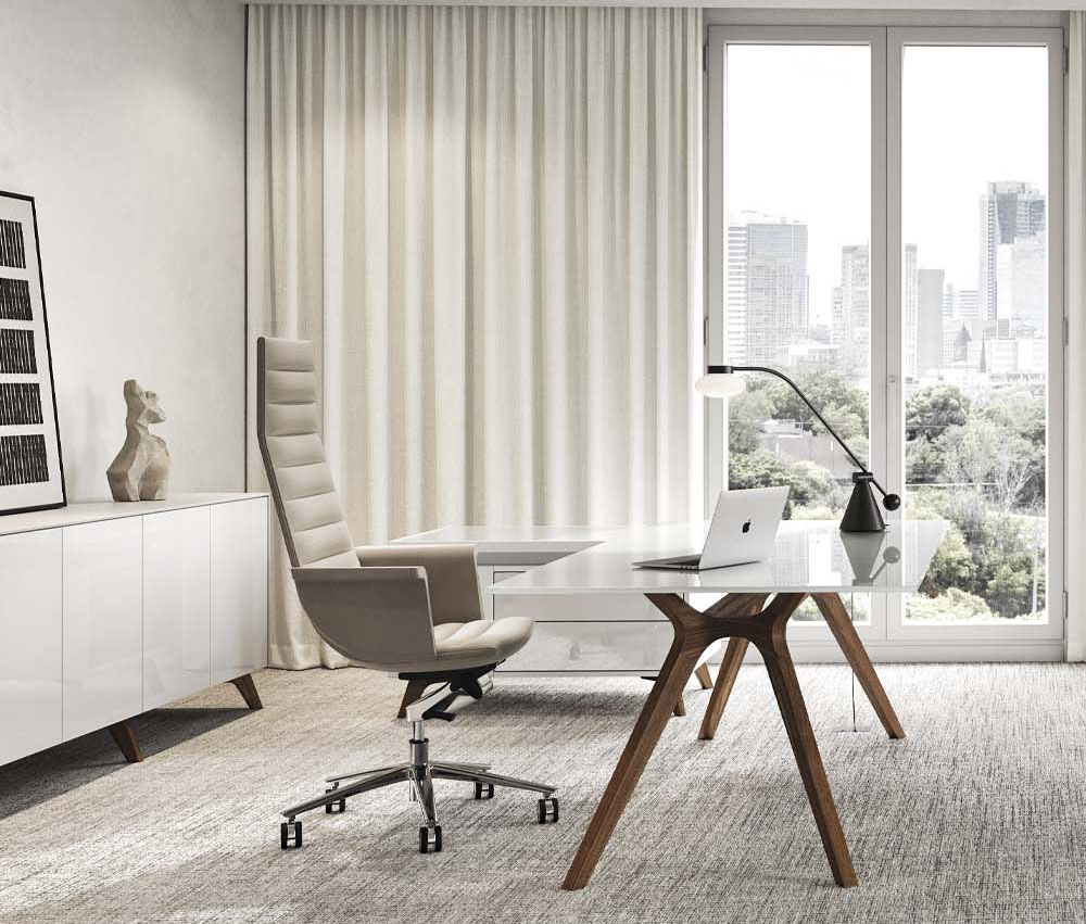 Bureau de Direction DR avec meuble de service