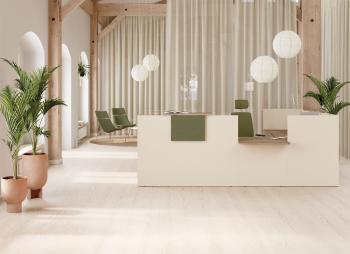 Banque d'Accueil IMAGE avec PMR et Retour