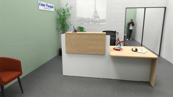 Banque d'Accueil COUPOLE avec PMR