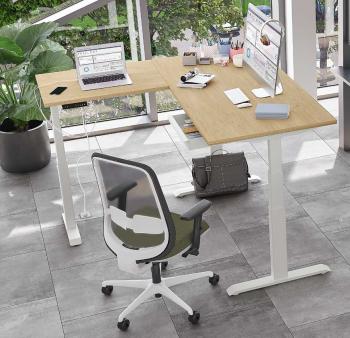 Bureau NIVEAU Premium Réglable en Hauteur avec Retour