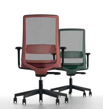 Fauteuil BORA Coque et Support Lombaire de Couleur