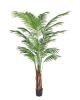 Areca Palm avec Pot Rond Grand Format Gotessons