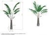 Areca Palm avec Pot Rond Grand Format Gotessons