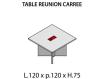 Table de Réunion Carrée ELITE avec Top Access